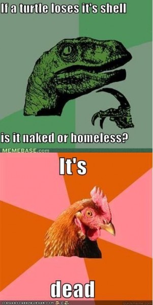Anti Joke Chicken