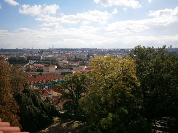P9130135